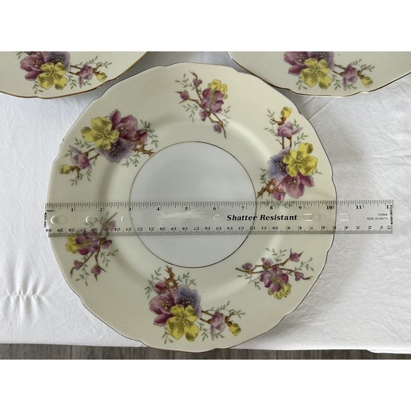 3 Apple Blossom (Cream Background) by BLACK KNIGHT Dinner Plate Made in Germany - Picture 9 of 9